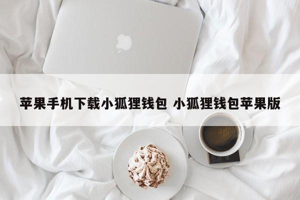 狐狸钱包如何插件安装__中文版小狐狸钱包