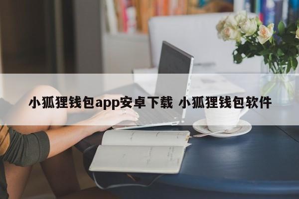 _狐狸钱包代币_狐狸钱包使用教程