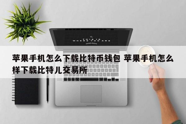 applepay比特币_iphone比特币钱包_