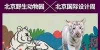 分级a下折套利原理__利益诉求情况怎么写